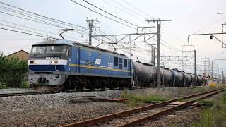 【初撮り】 EF210-301 桃太郎300番台トップナンバー と 三ヶ尻線・熊谷貨物ターミナルの現在