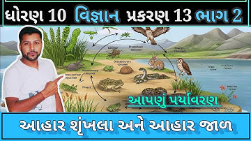 આહાર શૃંખલા અને આહાર જાળ | Std 10 science ch 13 | food chain and food web in gujarati