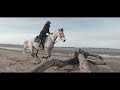 Horse on Nairn Beach