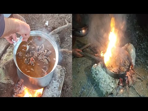 صيد اليمام و أكله و عمل زرده عربيه فى الطبيعة البريه فى الاسكندرية 