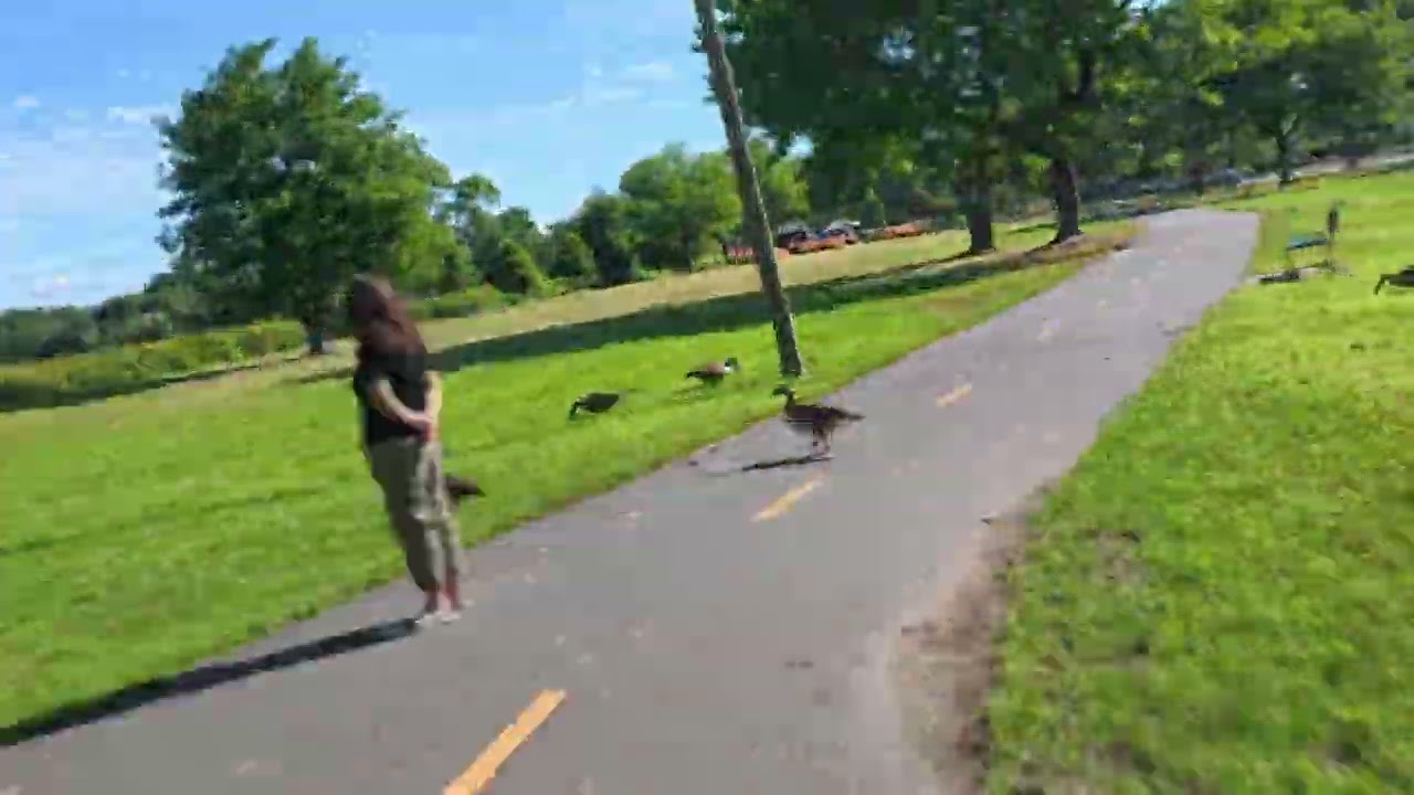 Apollo Air Pro commute Watertown to Boston