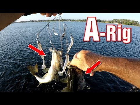 Como pescar um Rig Alabama para Summertime Bass (Umbrella Rig)