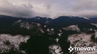 Вирубані ліси в Карпатах/ Зйомка дроном.