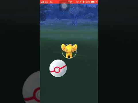 【ポケモンGO】色違いコリンク２匹目！