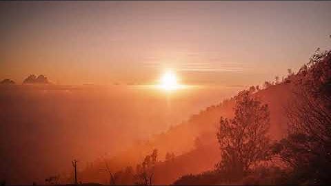 تلاوة ما أجملها هادئه شجية تُريح القلوب _ محمد.