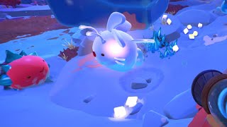 Slime Rancher 2 Slimes Playing In The Snow