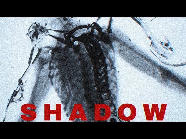 SILENT SCREAM - SHADOW