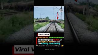 You Wonโt Believe Why This Rajdhani Express Had To Stop! #shorts #indianrailways #assam