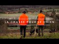 La chasse pour le chien dans le 65  vlog 7