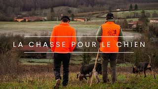 La chasse pour le chien dans le 65 - Vlog 7