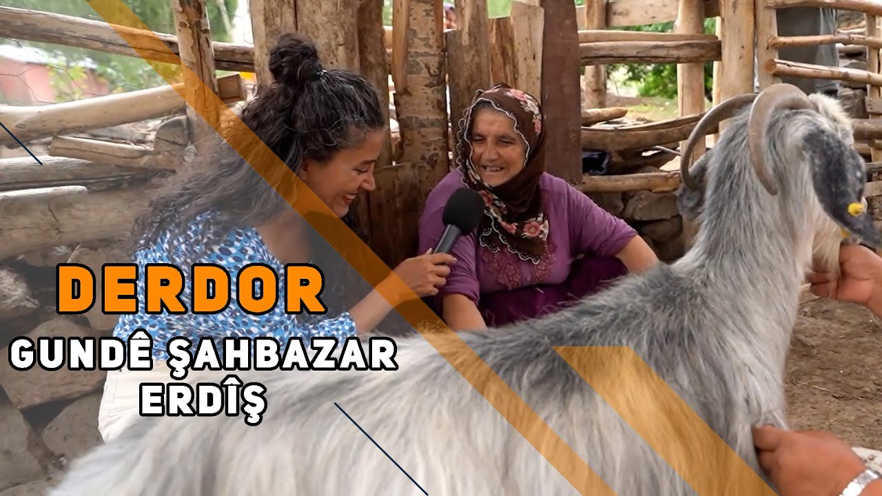 DERDOR - GUNDÊ ŞARBAZAR / ERDÎŞ