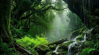 Soft Rainfall Echoing In A Remote Forest With Gentle Thunder And Calm Air Ambience