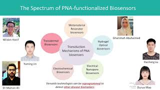 Next Generation Electrochemical Biosensors for microRNA Detection