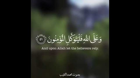 القارئ محمد النقيب