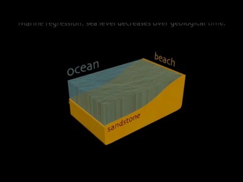 Wideo: Co powoduje regresję morską?