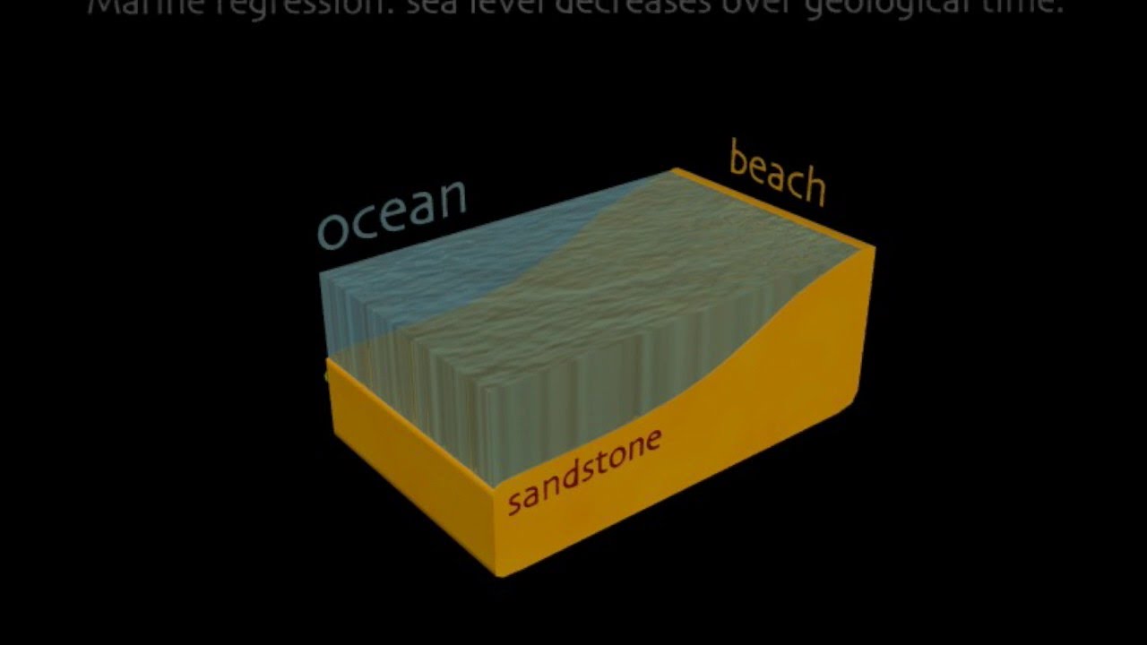 Marine Regression YouTube
