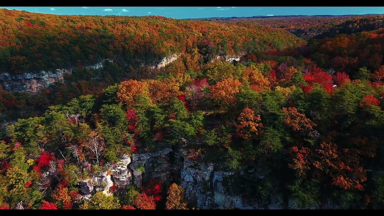Bright Autumn Colors|RB MOSUGANTI