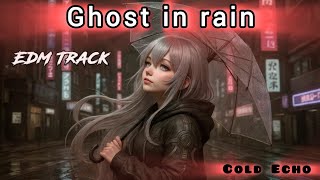 Cold Echo-Ghost in rain@Cold_Echo17 