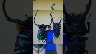 Rare Photos You've Never Seen Before [Part 150]