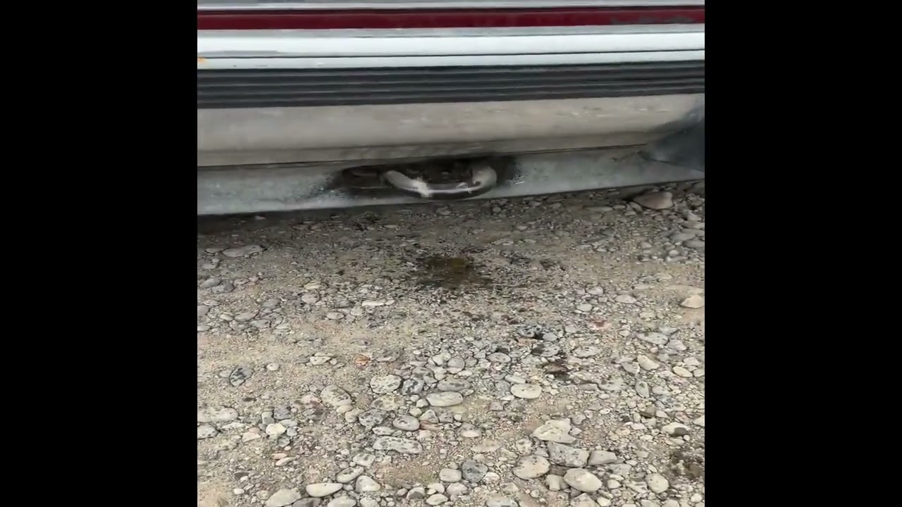 1992 Chevrolet 1/2 TON 1053 For Sale