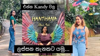 ලස්සන හන්තානේ යන්න ආස හිතෙන තැනක් 🦜🦢🦉|Hanthana |Bird park |Nature #sinhala #family #kandy #
