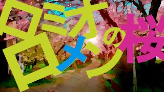 ロミオロメンの桜