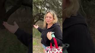 We’re content creators