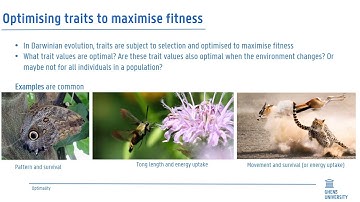 Ecological and Environmental modeling: optimisation
