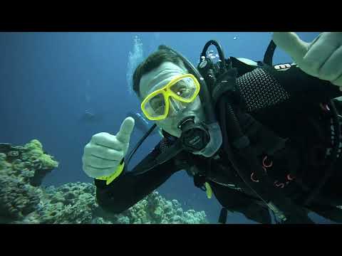 Guest week diving in Sharm el Sheikh with Camel Dive Club