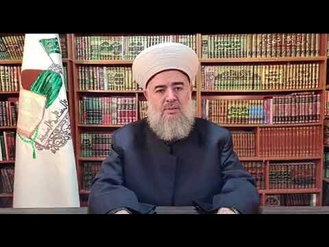 رد الشيخ جميل حليم على محمد راتب النابلسي