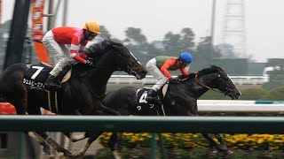 モンネトワ の競走馬情報 Pog Info