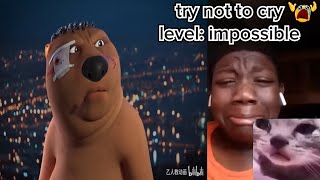 Try Not To Cry Level Impossibble...(Chinese Beaver Sad Meme)