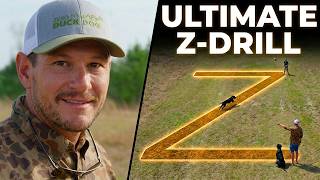 The Z Drill: The Marking Drill That Will Transform Your Duck Dog