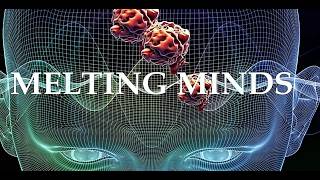 Melting Minds -- Sonic disolution