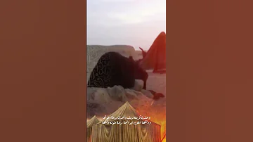 وصلت كربلاء زينب 