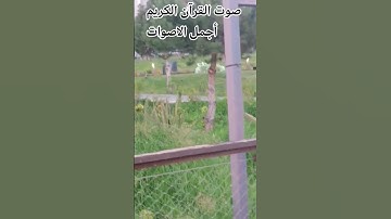 مافي احلا من القرآن الكريم بصوت جميل 🤲♥️اللهم اجعل القرآن ربيع قلوبنا ونور صدورنا #اكسبلور