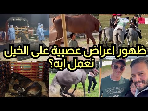 اتنين خيل فجأة ظهر عليهم اعراض عصبية