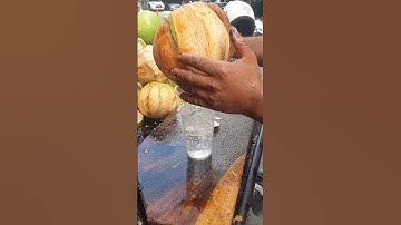 The Coconut Master: Cutting Skills You Didn