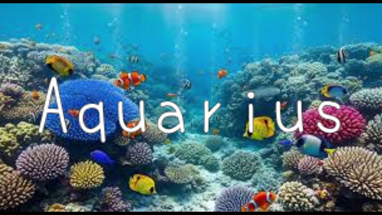 Aquarius/Tappy アレンジ