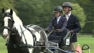 Carriage Driving - Introduction to cones