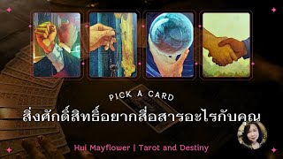 Pick a Card สิ่งศักดิ์สิทธิ์อยากสื่อสารอะไรกับคุณ | Hui Mayflower