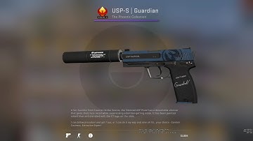 CSGO - USP-S | Guardian (Field-Tested) Skin Showcase and Gameplay