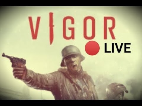 VIGOR - BETA Access.