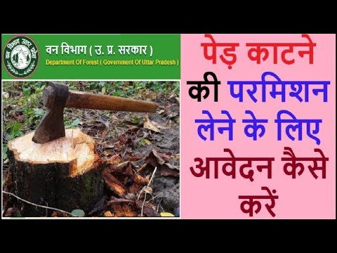 वीडियो: मैं वनों की कटाई का खर्च कहां से घटाऊं?