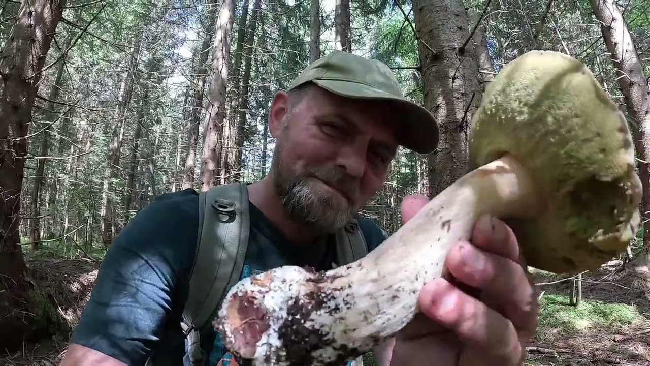 Тут ГРИБНИКИ не ходять!.. Але які ГРИБИ!.. Гори ховають, а ми знаходимо!