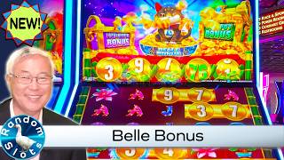 Lucky Coin Link Lucky Falls Slot Machine Belle Bonus