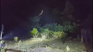 Live Misteri || Gawat Bantu Pencarian Denna  Dan Dewa Langit Hilang Kontak