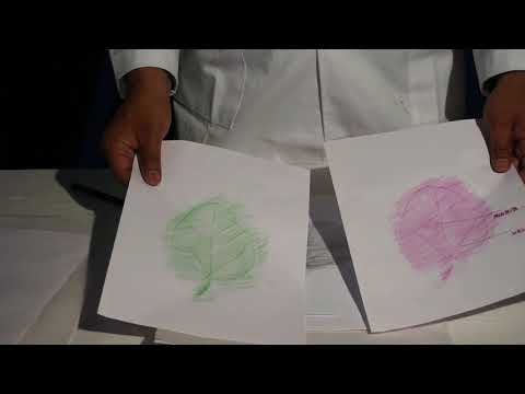 Fun with Science,