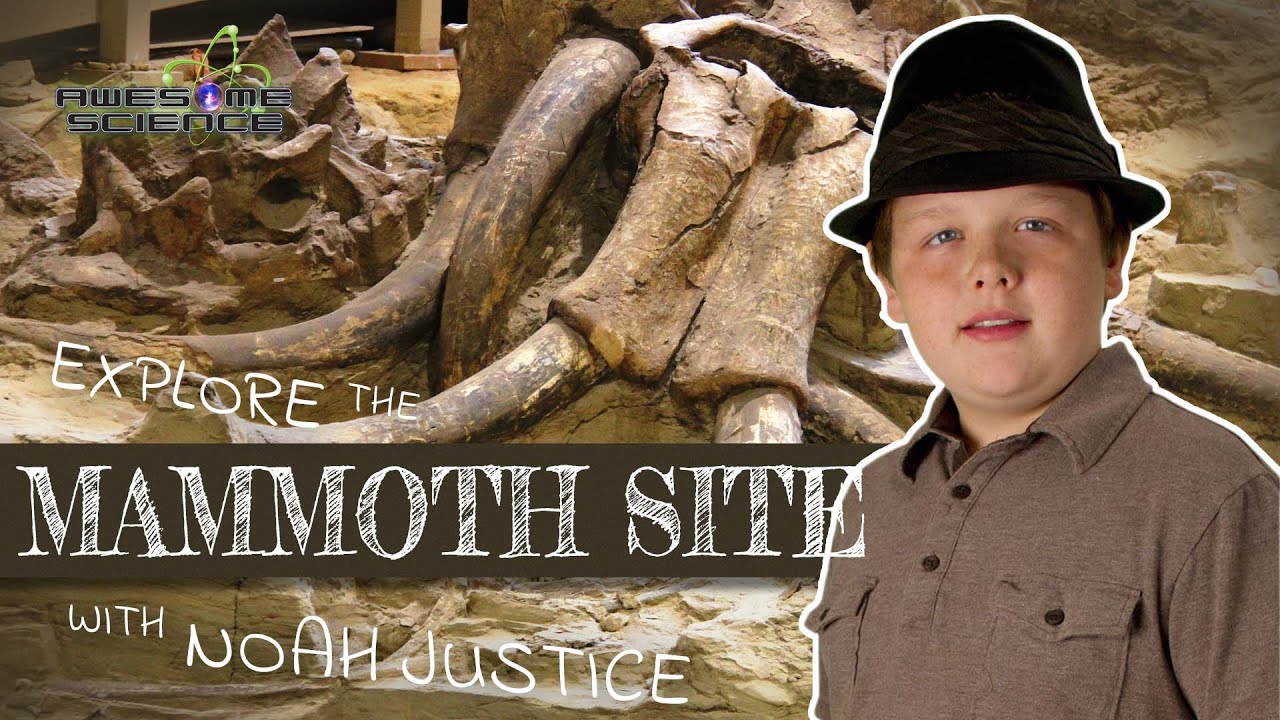 Explore The Mammoth Site | Awesome Science