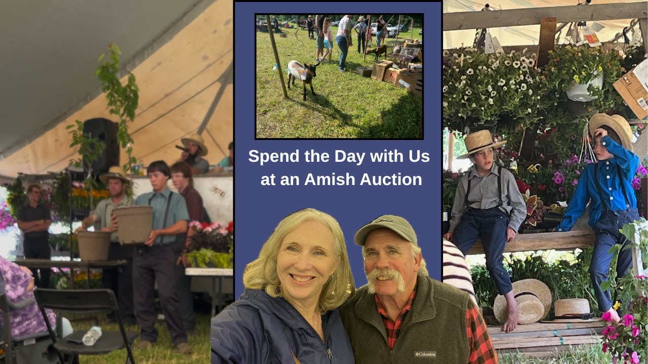 Spend the Day with Us at an Amish Auction